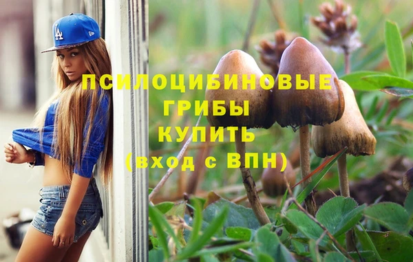 соль ск Саяногорск