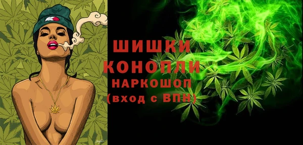 шишки Бородино