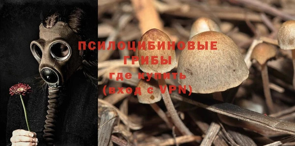 МДПВ Верхнеуральск